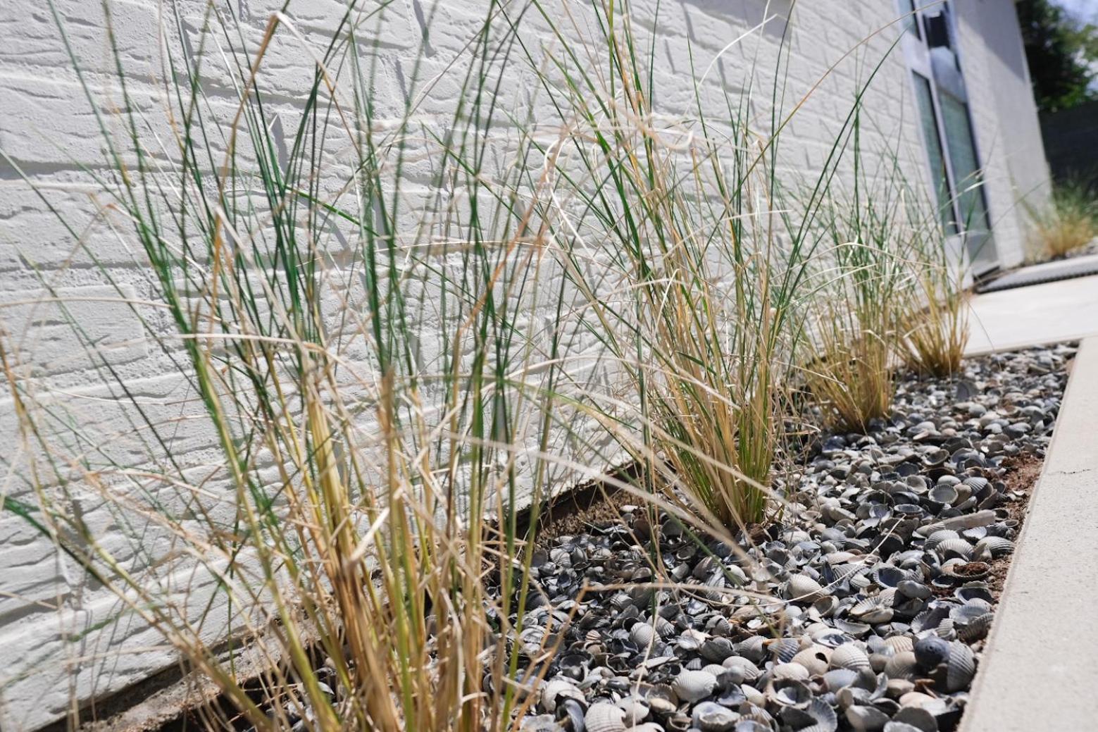Stormvloed Villa Renesse Kültér fotó